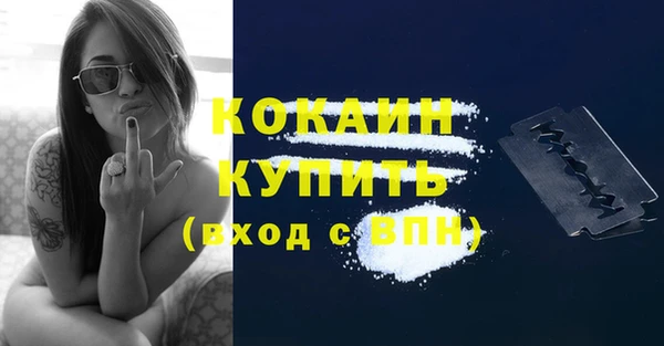 шишки Абаза