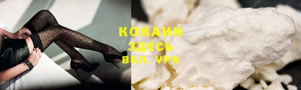 шишки Абаза