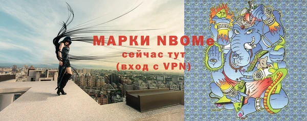 шишки Абаза
