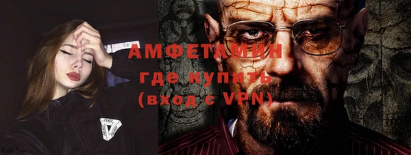 шишки Абаза