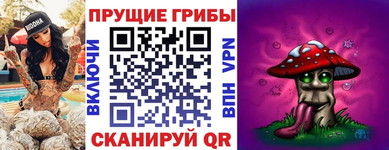 Галлюциногенные грибы мицелий цена наркотик Торопец